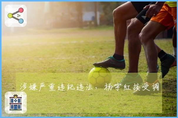 涉嫌严重违纪违法，杨宇红接受调查