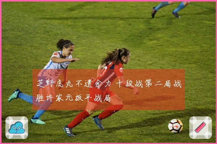 芝野虎丸不遗余力 十段战第二局战胜许家元扳平战局