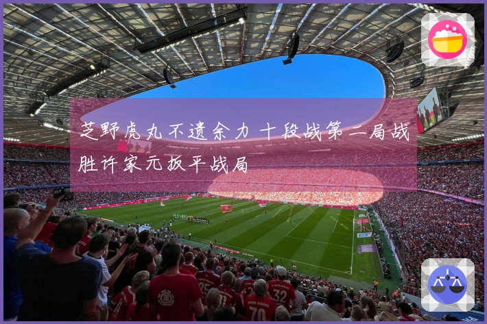 芝野虎丸不遗余力 十段战第二局战胜许家元扳平战局